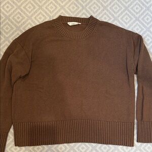 Everlane 100 💯 cotton Chocolate Crewneck Sweater